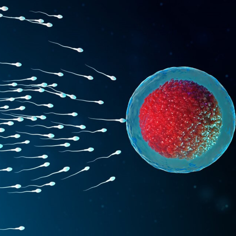 Laboratoire_analyses_services_XX15